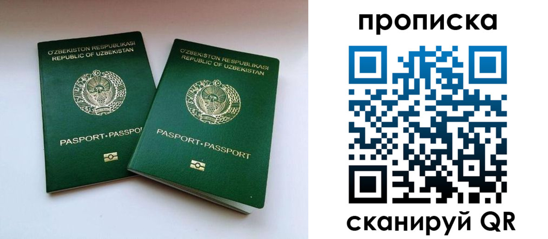 прописка поиск в Кохме